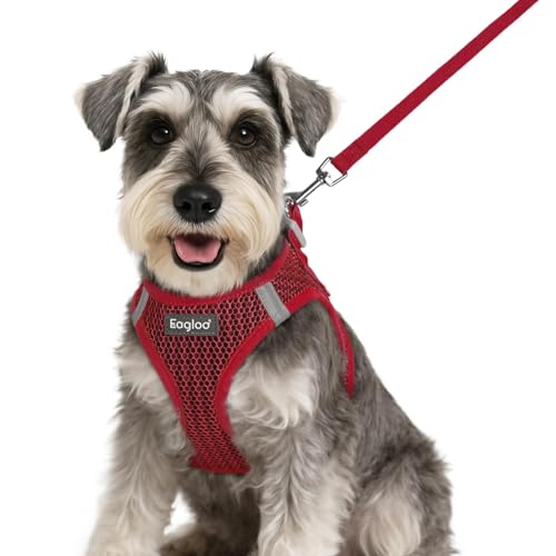 Eagloo Small Dog Harness and Leash Set, Step in Puppy Vest with Breathable Soft Mesh, Walking Reflective Pet Harness for Small Dogs, Red, S - Image 1