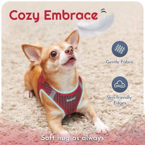Eagloo Small Dog Harness and Leash Set, Step in Puppy Vest with Breathable Soft Mesh, Walking Reflective Pet Harness for Small Dogs, Red, S - Image 4
