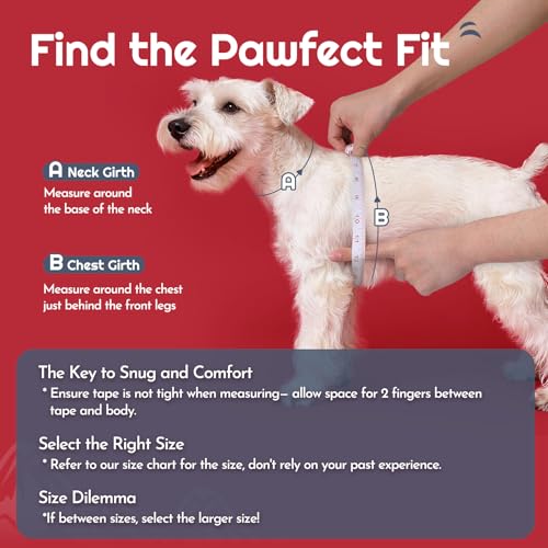 Eagloo Small Dog Harness and Leash Set, Step in Puppy Vest with Breathable Soft Mesh, Walking Reflective Pet Harness for Small Dogs, Red, S - Image 2