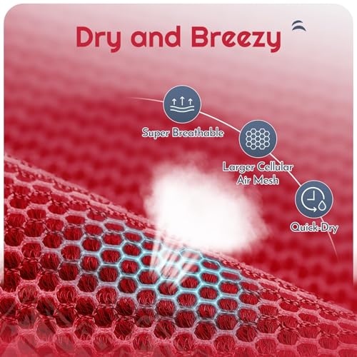 Eagloo Small Dog Harness and Leash Set, Step in Puppy Vest with Breathable Soft Mesh, Walking Reflective Pet Harness for Small Dogs, Red, S - Image 3
