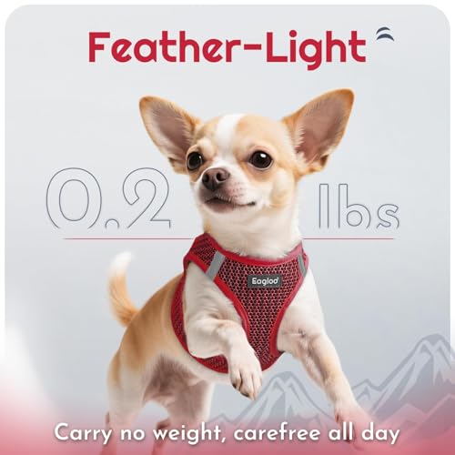 Eagloo Small Dog Harness and Leash Set, Step in Puppy Vest with Breathable Soft Mesh, Walking Reflective Pet Harness for Small Dogs, Red, S - Image 5