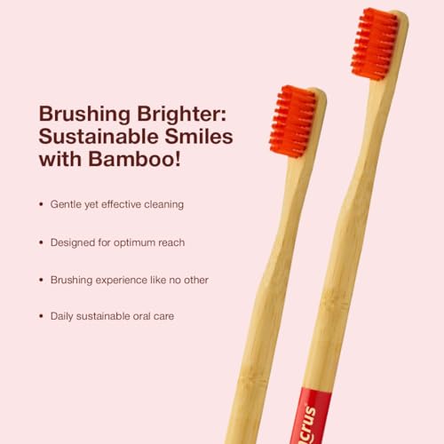 Dencrus Orby Plus Bamboo Toothbrush for Adults (Pack of 4) | 100% Natural & Eco Friendly Manual Toothbrush | Ultra Soft Bristles for Gentle Sensitive Gum Care | Red - Image 4