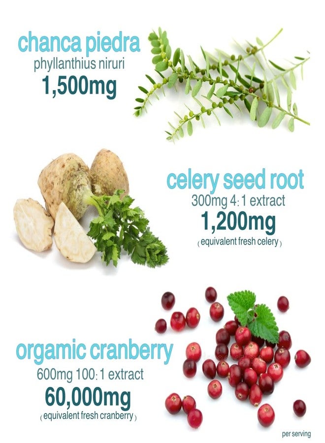 Holistic MD Stone Breaker Chanca Piedra 1,500mg Gummies Kidney Stones Cleanse Gallbladder Formula | Plus Cranberry Extract Might Help Urinary Tract Flush Impurities | Fast Absorption Sugar Free 60ct - Image 4