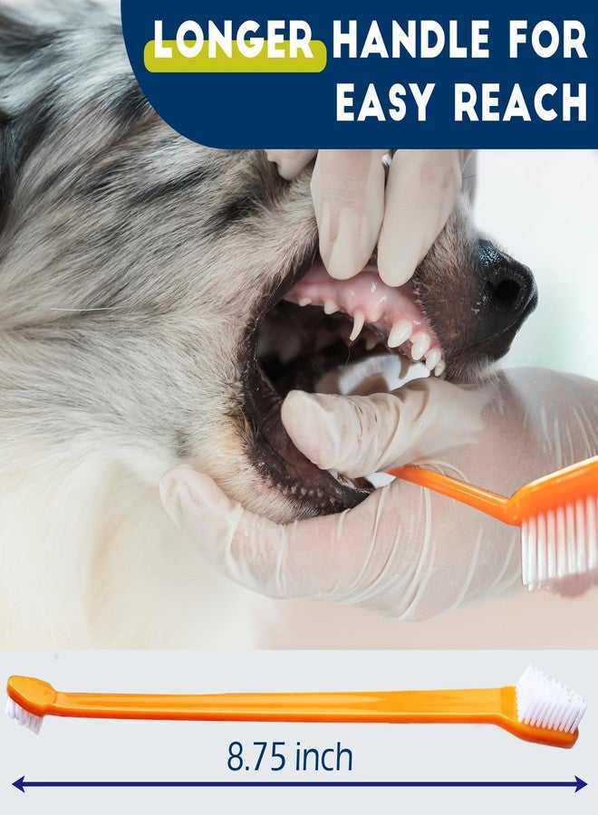 MoonyMars 200 Pcs Dog Toothbrush Cat Tooth Brushes Bulk, Double Sided Brushing Kit, Teeth Cleaning Kit Soft Bristles Long Handle, Pet Tooth Brush for Small to Large Dog, Cat, Puppy & Kitten, 10 Colors - Image 5