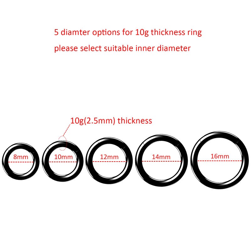 NewkeepsR 10GÃ—10mm Black Large Gauge Prince Albert 316L Surgical Steel Septum Hinged Clicker Segment Orbital Conch Rings - Image 4
