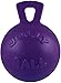 Jolly Pets 2 Pack of TugnToss 45 inch Heavy Duty Chew Ball with Handle Purple - Image 3