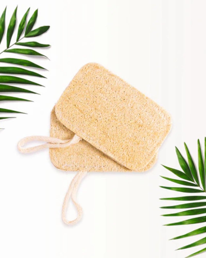 MARMORIS ECOM Natural Loofah Body Scrubber, Organic Eco-Friendly Bath Sponge, Gentle Exfoliating Loofah with Hanging Loop, Ideal for Women & Men, Ridge Gourd Fibre, Lightweight Cleansing Scrub (Rectangle- Pack of 2) - Image 2