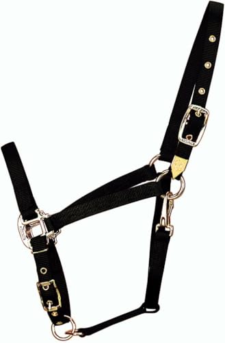Hamilton 3/4-Inch Nylon Arabian Horse Halter with Adjustable Chin and Throat Snap, Average, 800 to 1100 pounds, Black - Image 5