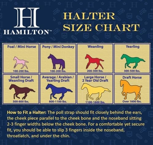 Hamilton 3/4-Inch Nylon Arabian Horse Halter with Adjustable Chin and Throat Snap, Average, 800 to 1100 pounds, Black - Image 3