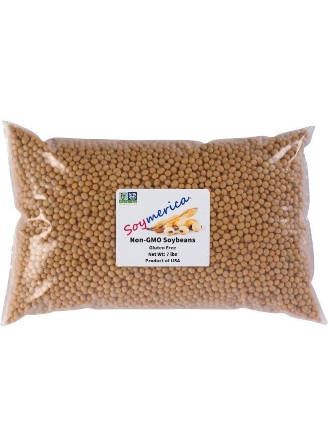 Soymerica Non-GMO Soybeans - 7 Lbs - Image 1