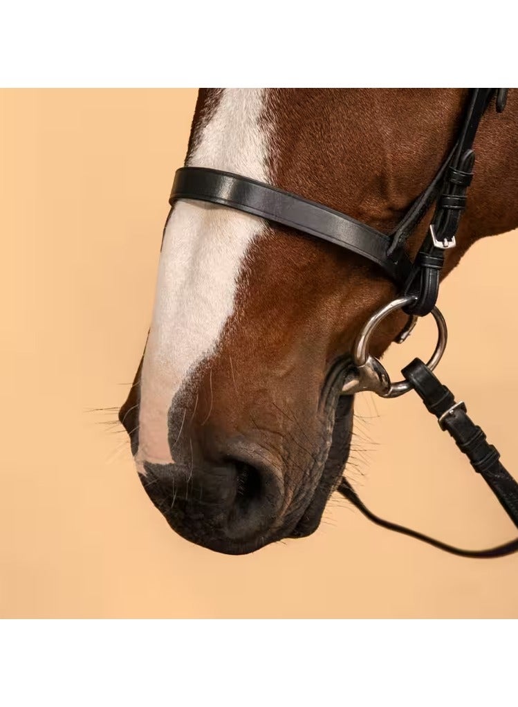 لجام جلدي لركوب الخيل مع شريط أنف فرنسي وزمام للحصان والمهر 100