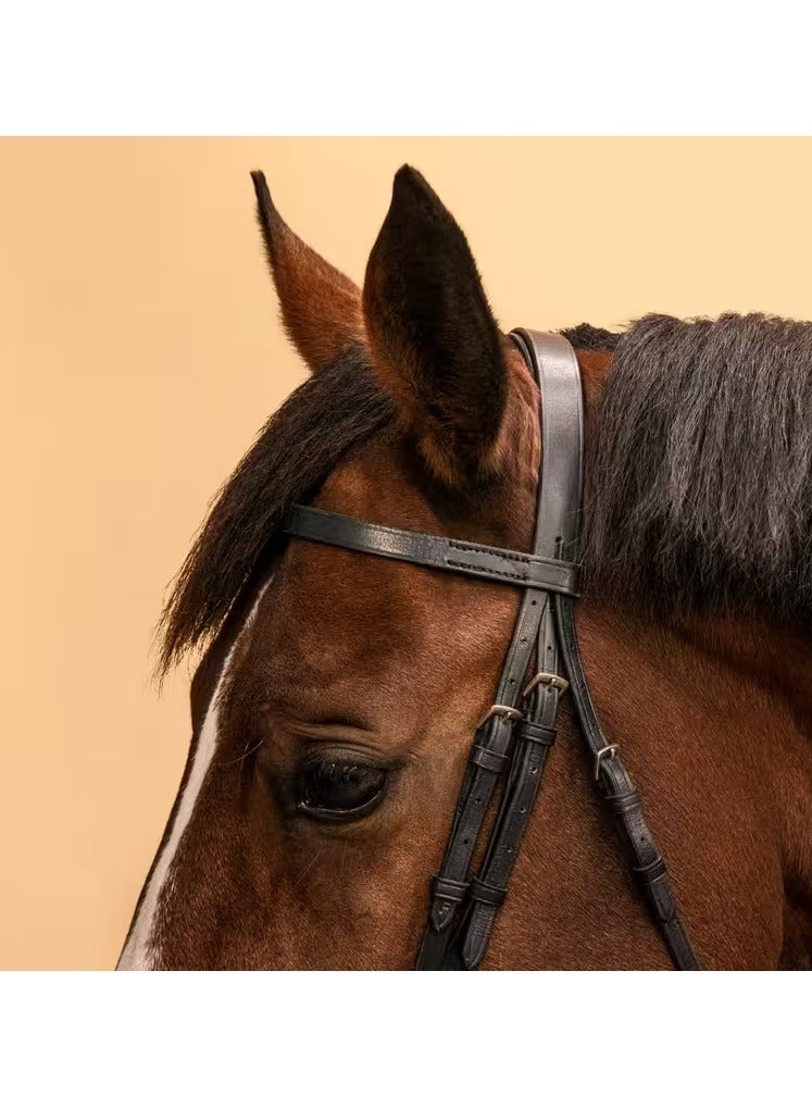 لجام جلدي لركوب الخيل مع شريط أنف فرنسي وزمام للحصان والمهر 100