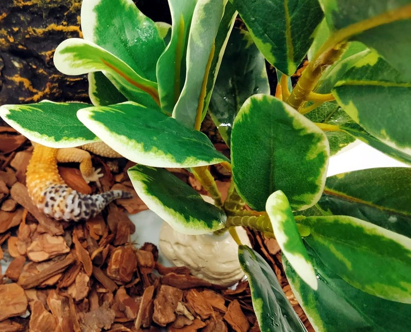 KERUIDENG Reptile Plants Terrarium Artificial Leaves Reptile Tank Decorations for Bearded Dragon Lizard Snake Geckos Chameleon Amphibian Habitat Terrarium Decor - Image 5