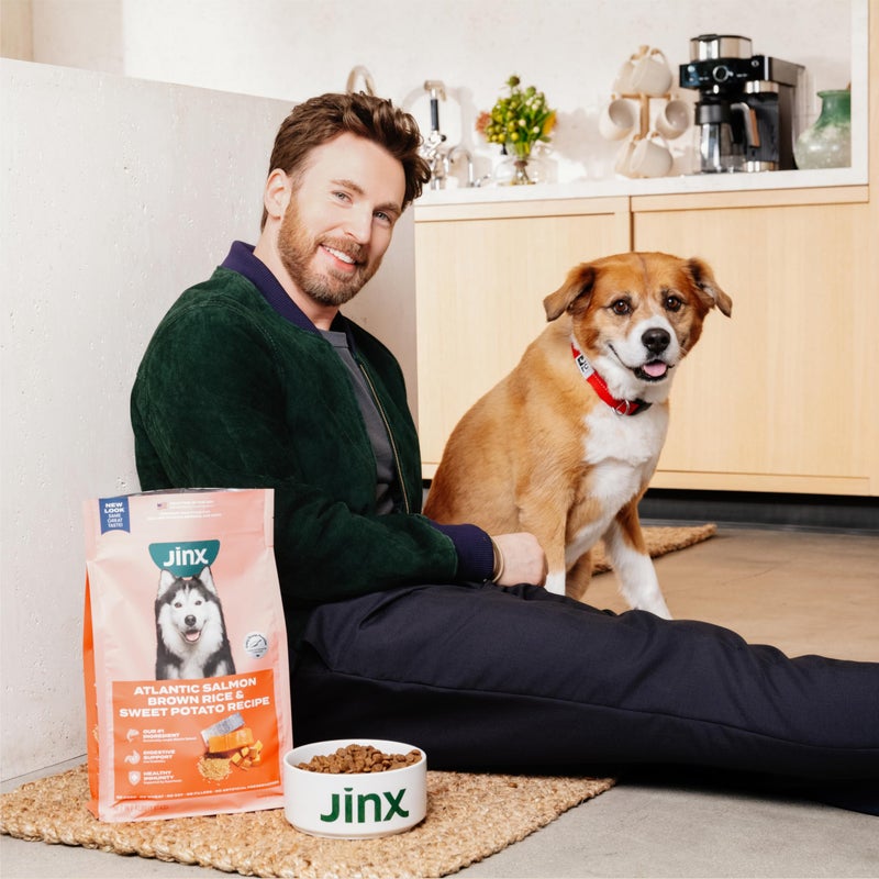 Jinx Premium Dry Dog Food, for All Lifestages - Real Beef, Brown Rice & Sweet Potato Kibble with Superfoods for Immune Support & Probiotics for Digestive Support - No Fillers - 4lb - Image 4