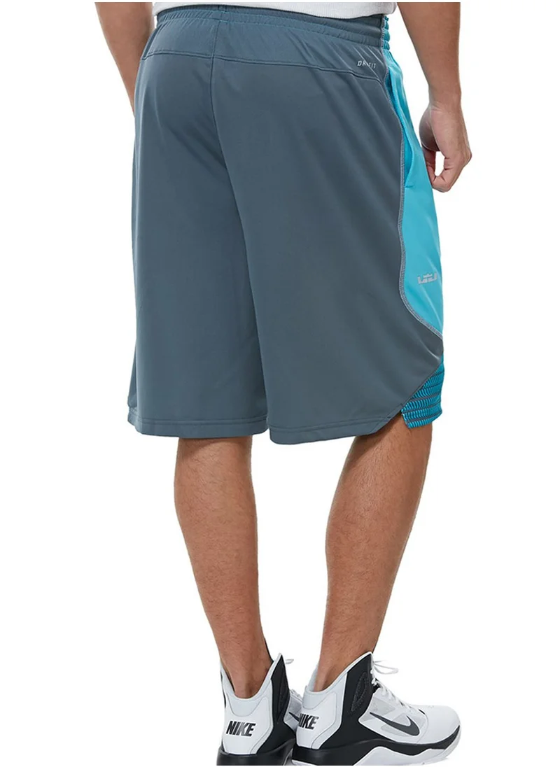 Nike Lebron Chain mail  Short