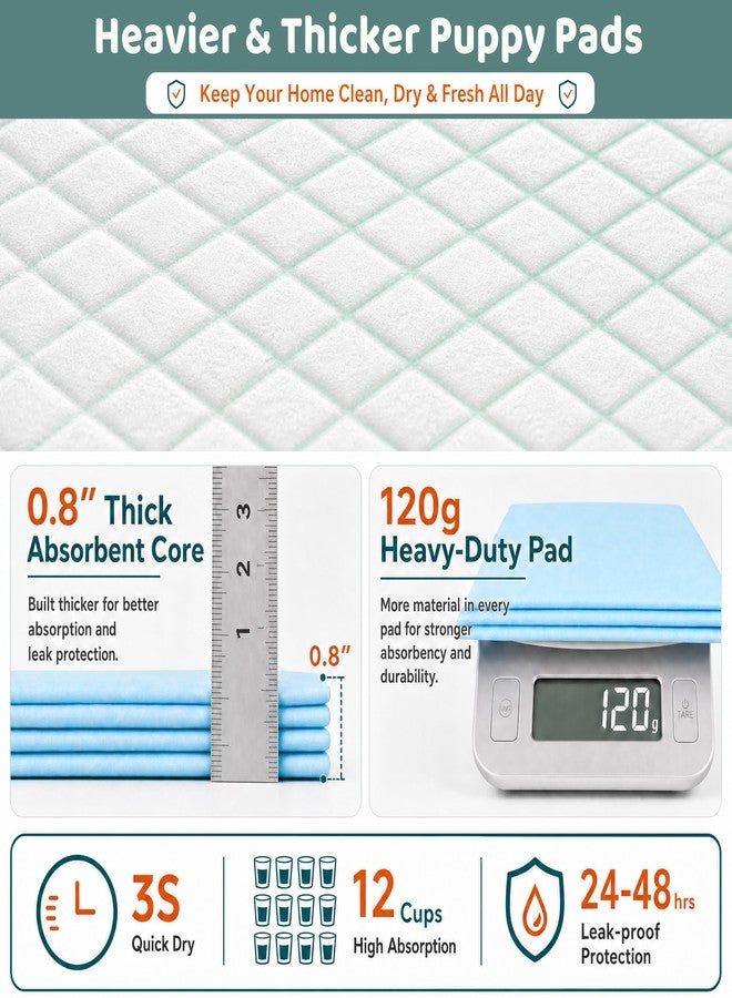 Gimars XXXL 31X47” 40 Count 1200ML Super Absorbent Thicken 6-Layer Ultra Large Dog Pee Pads — Leak-Proof Odor-Control Quick-Dry Training Pads for Large Senior Dogs, Puppies, Cats & Pets - Image 4