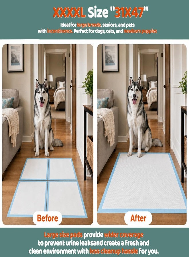 Gimars XXXL 31X47” 40 Count 1200ML Super Absorbent Thicken 6-Layer Ultra Large Dog Pee Pads — Leak-Proof Odor-Control Quick-Dry Training Pads for Large Senior Dogs, Puppies, Cats & Pets - Image 2
