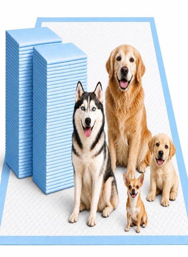 Gimars XXXL 31X47” 40 Count 1200ML Super Absorbent Thicken 6-Layer Ultra Large Dog Pee Pads — Leak-Proof Odor-Control Quick-Dry Training Pads for Large Senior Dogs, Puppies, Cats & Pets - Image 1