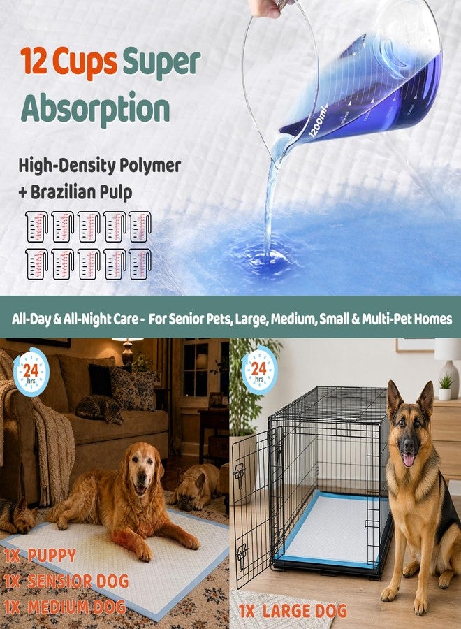 Gimars XXXL 31X47” 40 Count 1200ML Super Absorbent Thicken 6-Layer Ultra Large Dog Pee Pads — Leak-Proof Odor-Control Quick-Dry Training Pads for Large Senior Dogs, Puppies, Cats & Pets - Image 3