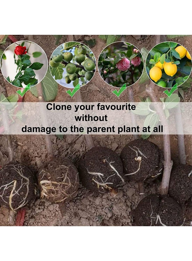 إسكدنيا 10 PCS Air Layering Propagation Kit with Zip Ties, Reusable Half Transparent Grafting Ball, Air Layering Pods Clear, Plant Rooting Grafting Box for Fast Propagation Plants (Medium) - Image 5