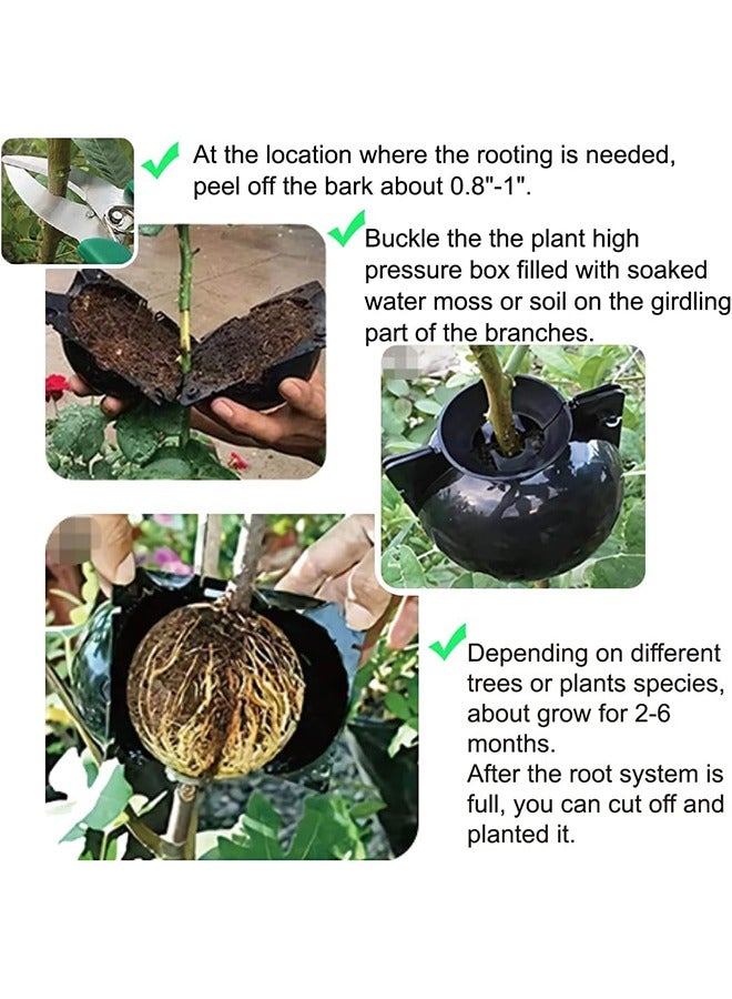 إسكدنيا 10 PCS Air Layering Propagation Kit with Zip Ties, Reusable Half Transparent Grafting Ball, Air Layering Pods Clear, Plant Rooting Grafting Box for Fast Propagation Plants (Medium) - Image 3