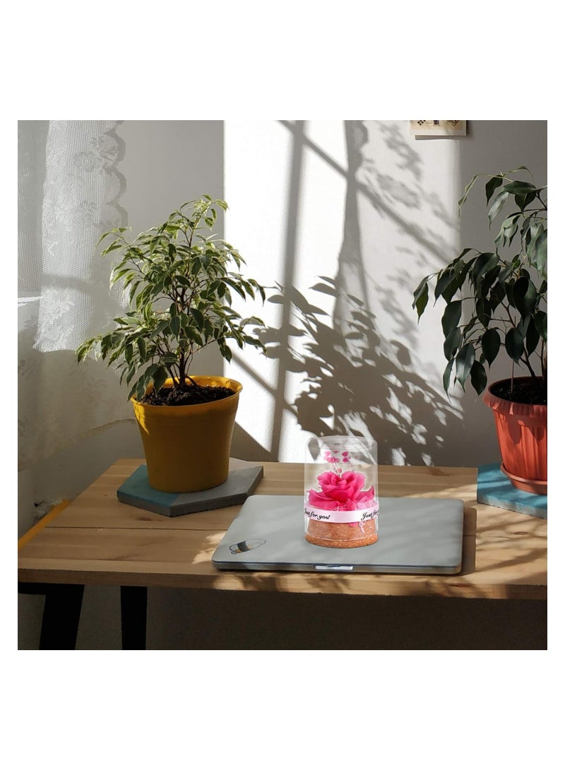 KASTWAVE Preserved Flower In Glass Dome Everlasting Forever Handmade Rose Galaxy Flower Artificial Flower Natural Eternal Never Withered Flowers, Mother's Day, Anniversary, Birthday - Image 2