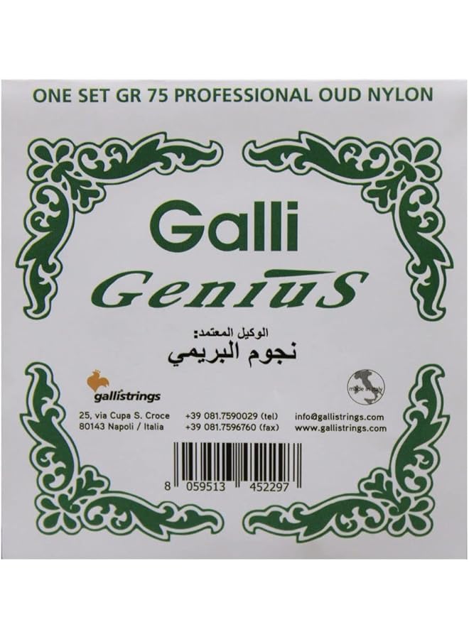 erorex Galli Oud String Gr75 Do Tuning - Image 2