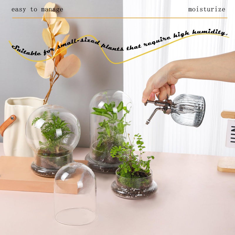 WHJY 6 inches Glass Cloche for Indoor Plants Small Terrarium Glass Cloche with Base Mini Cloche Dome with Base for Display Home Decor - Image 4