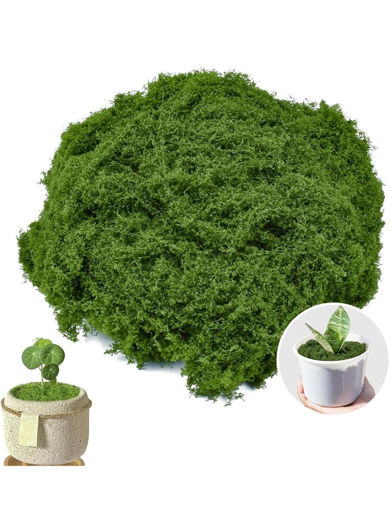 100 جرام من الطحالب الصناعية،عشب اخضر صناعي، الطحالب المزيفة، لأصص النباتات الداخلية والطحالب الزخرفية لحدائق المنزل والمشاريع الحرفية، مثالية للترتيبات الزهرية والديكورات المنزلية (أخضر غامق) - Image 1