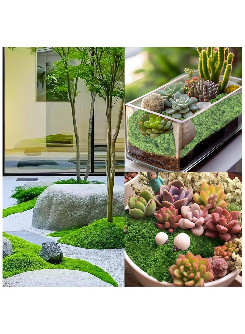 100 جرام من الطحالب الصناعية،عشب اخضر صناعي، الطحالب المزيفة، لأصص النباتات الداخلية والطحالب الزخرفية لحدائق المنزل والمشاريع الحرفية، مثالية للترتيبات الزهرية والديكورات المنزلية (أخضر غامق) - Image 4