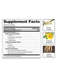SNAP SUPPLEMENTS Nitric Oxide Supplement - Pre Workout With L Arginine, L Citrulline, Taurine, 60 Capsules  - Image 2
