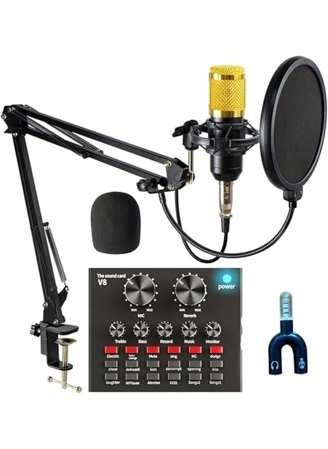 Generic Condenser Microphone Bundle, USB Microphone Kit with Live Sound Card  - Image 1