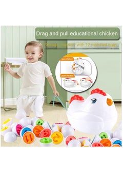 Y&D Toddler Chicken Toy Fine Motor Skills Matching Eggs Best Color And Digit Sorter Egg Toys  - Image 2