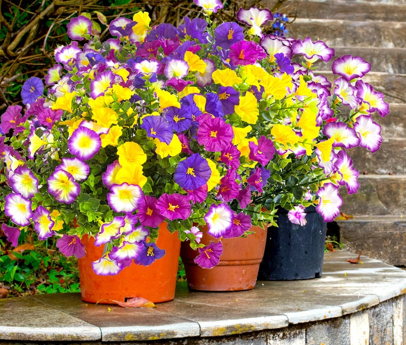 TSTWETO Artificial Flowers for Outdoors Fake Plants Spring Summer Decor, 12 Bundles Realistic Fake Silk Flowers Colorful Morning Glory UV Resistant Faux Flowers for Porch Outside Planter Porch Patio Yard - Image 4