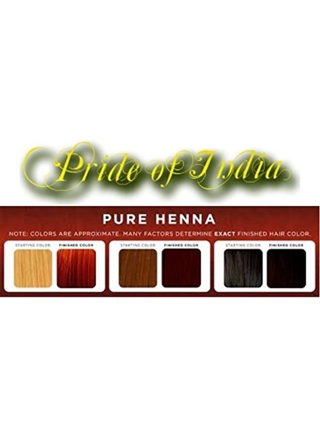 Pride Of India Herbal Henna & Indigo Mix Hair Color Powder w/Gloves - Natural Brown, Half Pound (227 Grams) - Image 3