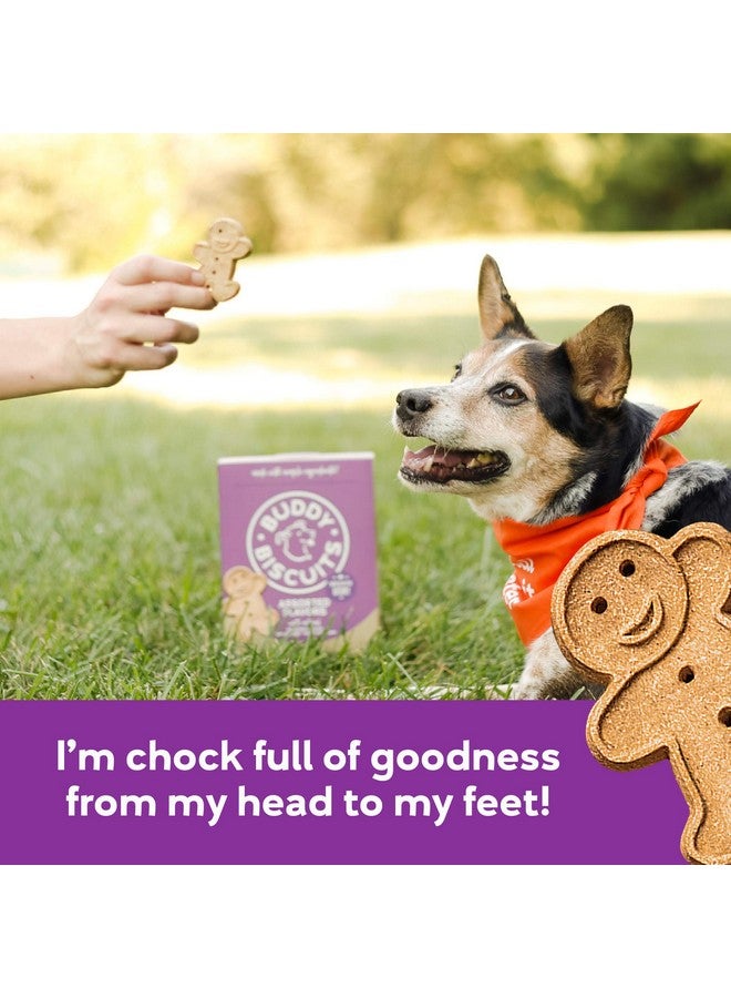 BUDDY BISCUITS 16 Oz. Box Of Crunchy Dog Treats Made With Assorted Flavors Of Roasted Chicken, Grilled Beef, And Sharp Cheddar - Image 4