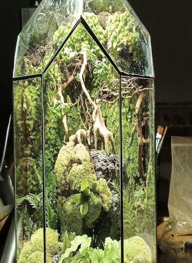 Azil Driftwood Deer Aquarium Decoration - Unique & Artistic Fish Tank & Terrarium Ornament, Safe & Eco-Friendly for Aquascaping & Reptile Habitats (Deer with Long Antlers) - Image 4