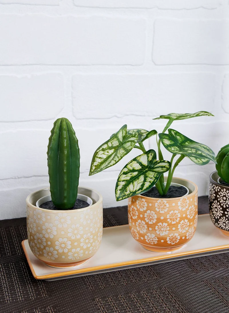 Sass & Belle Set Of 3 Global Craft Mini Planters