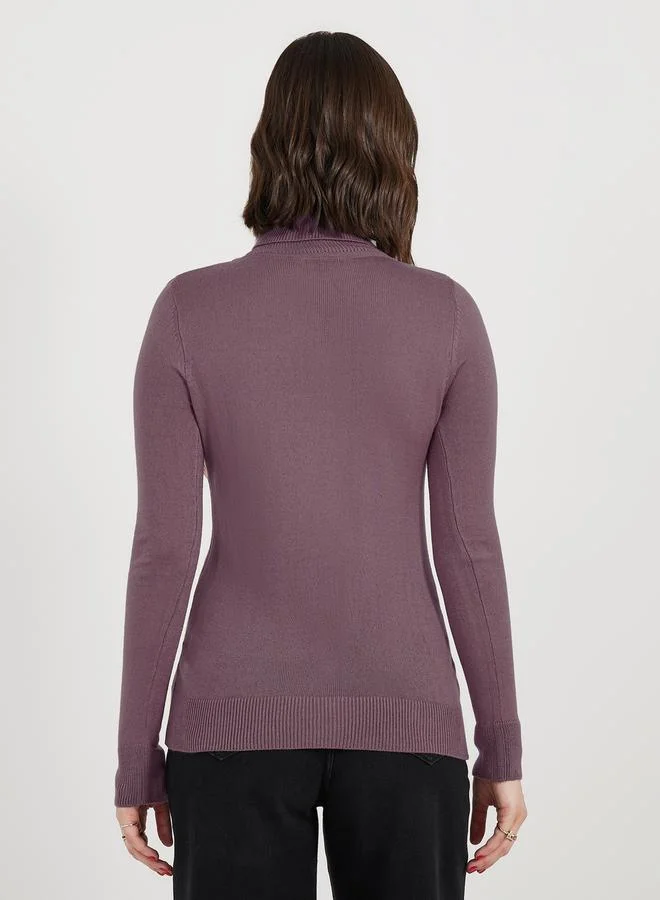Styli Slim Fit Regular Length Turtle Neck Cable Knit Sweater