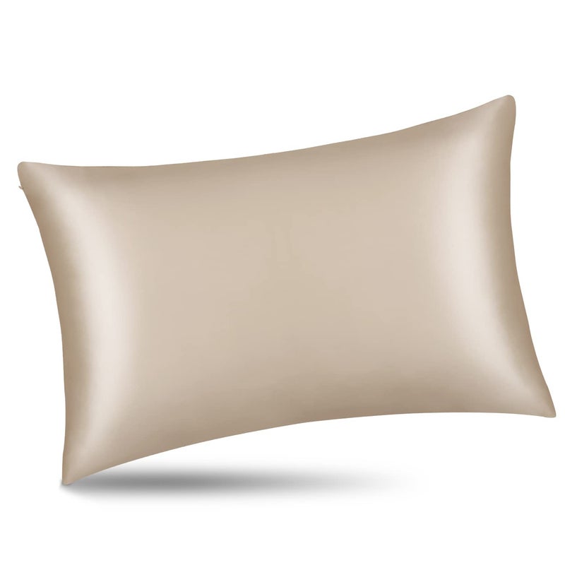 ALASKA BEAR Natural Silk Pillowcase, Hypoallergenic, 19 Momme, 600 Thread Count 100 Percent Mulberry Silk, Queen Size with Hidden Zipper (1,Champagne Gold) - Image 1
