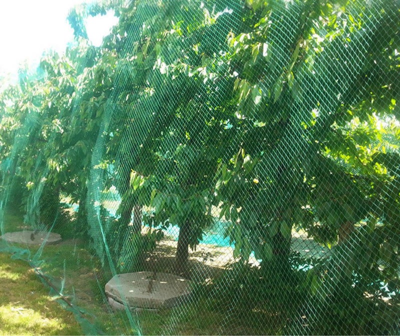 CandyHome CandyHome 13Ft x 33Ft Anti Bird Protection Mesh Garden Netting Seedlings Plants Flowers Fruit Trees Vegetables from Rodents Deer Reusable Fencing, Green  - Image 1