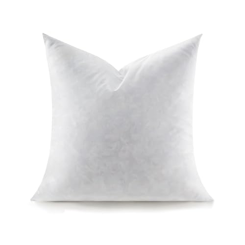 Swandream Feather Throw Pillow Insert, Soft Fluffy Square 18 x 18 Inches Decorative Pillow Insert, Feather and Down Euro Pillows for Bed, Couch and Cushion - Image 1