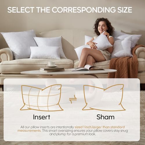 Swandream Feather Throw Pillow Insert, Soft Fluffy Square 18 x 18 Inches Decorative Pillow Insert, Feather and Down Euro Pillows for Bed, Couch and Cushion - Image 3