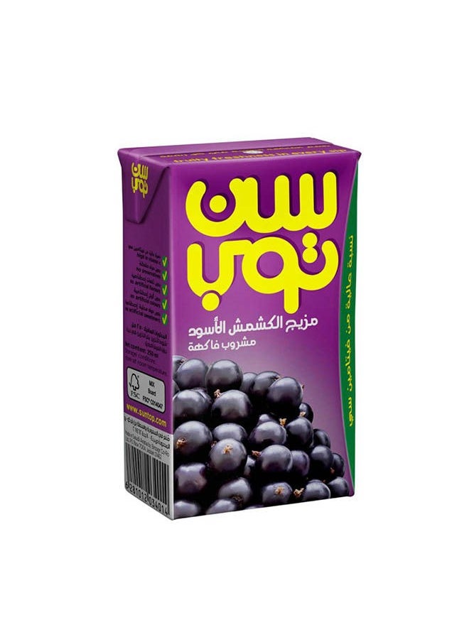 سن توب - عصير الكشمش الأسود 24 حبة 250 ملل - Image 1