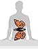 Folkmanis Monarch Life Cycle Reversible Hand Puppet Plush RedOrangePurpleBlack 8 - Image 4