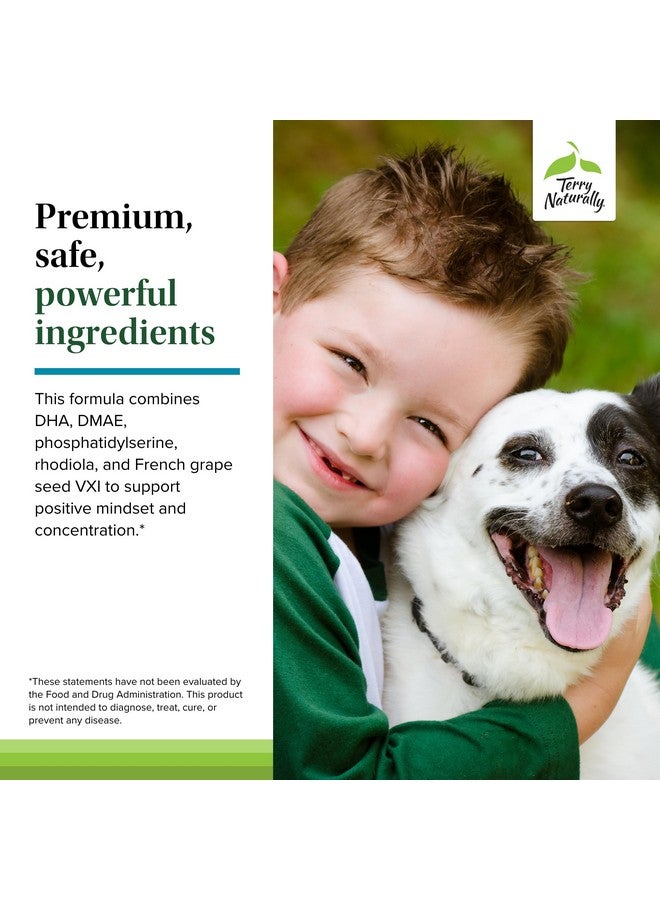 Terry Naturally Calm Kids - Calm Child Supplement - Brain Health Supplement for Focus, Memory & Concentration - Attention Support for Kids - Support Learning & Concentration - 60 Capsules (Pack of 2) - Image 5