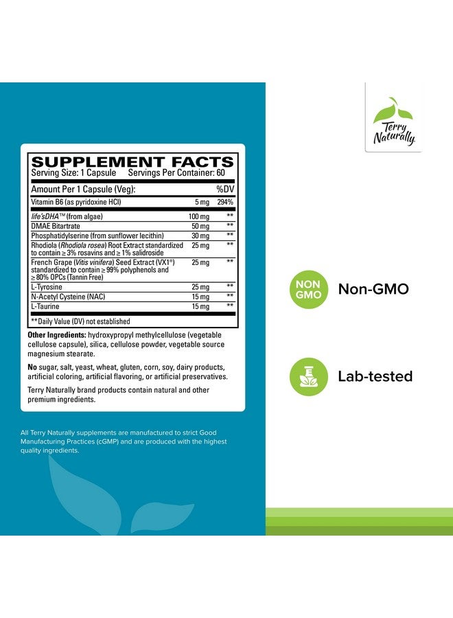 Terry Naturally Calm Kids - Calm Child Supplement - Brain Health Supplement for Focus, Memory & Concentration - Attention Support for Kids - Support Learning & Concentration - 60 Capsules (Pack of 2) - Image 2