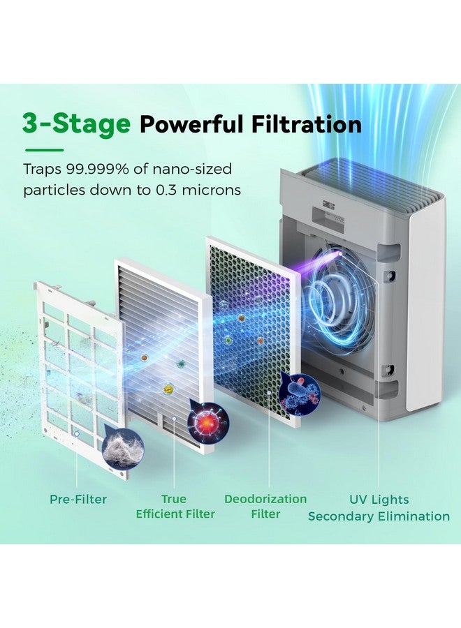 Afloia Afloia Original 3-Stage Filter, Compatible with Europa Air Purifier, Remove 99.99% Pets Hair Dander Odor Dust Smoke Mold Pollen, 2 Packs  - Image 2