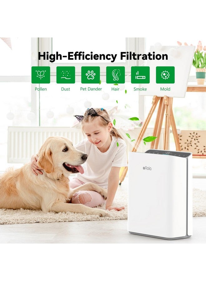 Afloia Afloia Original 3-Stage Filter, Compatible with Europa Air Purifier, Remove 99.99% Pets Hair Dander Odor Dust Smoke Mold Pollen, 2 Packs  - Image 3