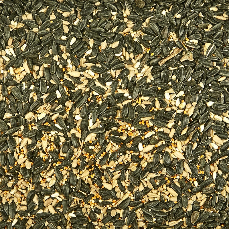 Kaytee Midwest Regional Wild Bird Food, 7 Pound - Image 3